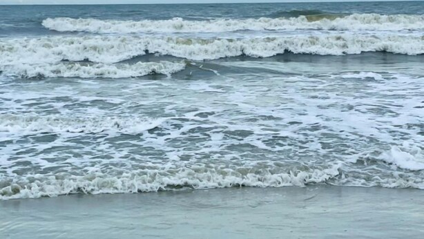 Una playa con olas rompiendo sobre la orilla.