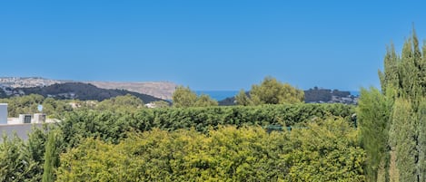 Vista da propriedade