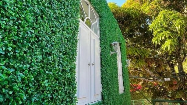 Un edificio con fachada cubierta de hiedra verde, una puerta blanca y un pequeño ventanal con marco blanco.