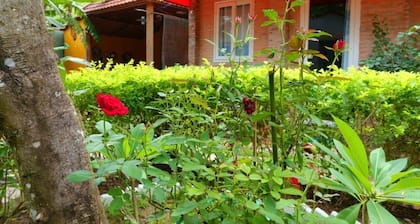 Contact: +84355178728