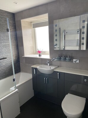 Tina con regadera y secadora de cabello