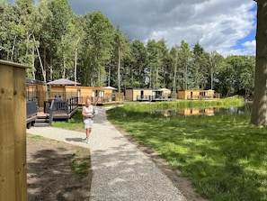 A row of wooden cabins with outdoor decks and a gravel path leading to a lake. - Rowan Boutique Lodge for couples with a dog (York)