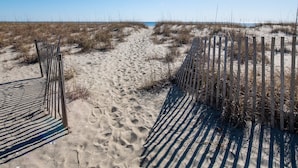 A sandy beach with wooden fences and sparse vegetation.