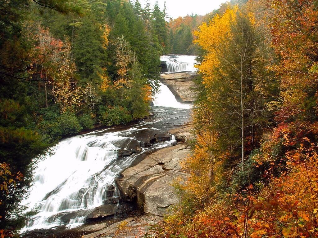 A waterfall surrounded by autumn foliage.