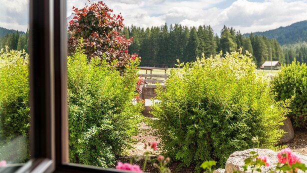Vista attraverso una finestra su un giardino con diverse piante e una catena montuosa in lontananza.