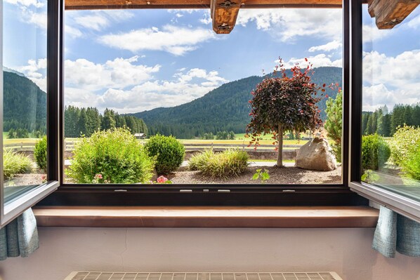 A window with a view of a mountainous landscape, a tree with red leaves, and a garden with various plants.