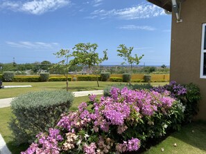 Exterior - Jhadano Villa 3BR Pool Shuttle 3 Mins to Beach (Falmouth)