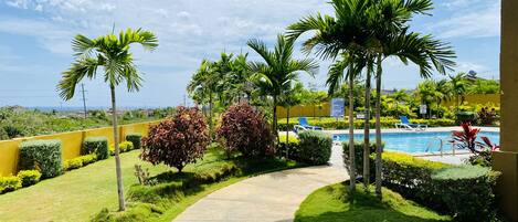 حمّام سباحة خارجي، مفتوح من 7:00 صباحًا إلى 9:00 مساءً، مقاعد للتشمس