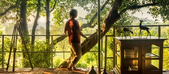 Mountain Top Glamping Suite with a Star Bed