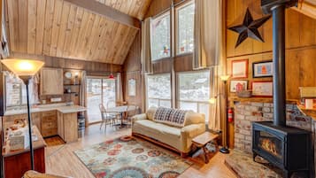 TV, fireplace, books