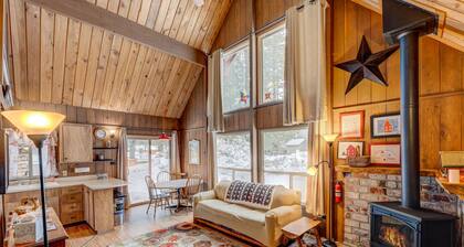 Dog-friendly 2-story cabin with loft, fireplace, board games, & wooded views
