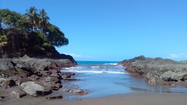 A beach with rocky shores and palm trees. - Rocas De Amancio Private Beachfront Estate (Puntarenas Province)
