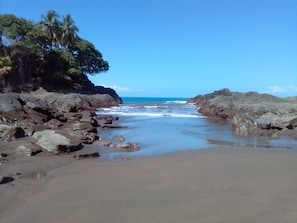 Une plage aux rivages rocheux, bordée de palmiers.