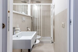Shower, hair dryer, bidet, towels