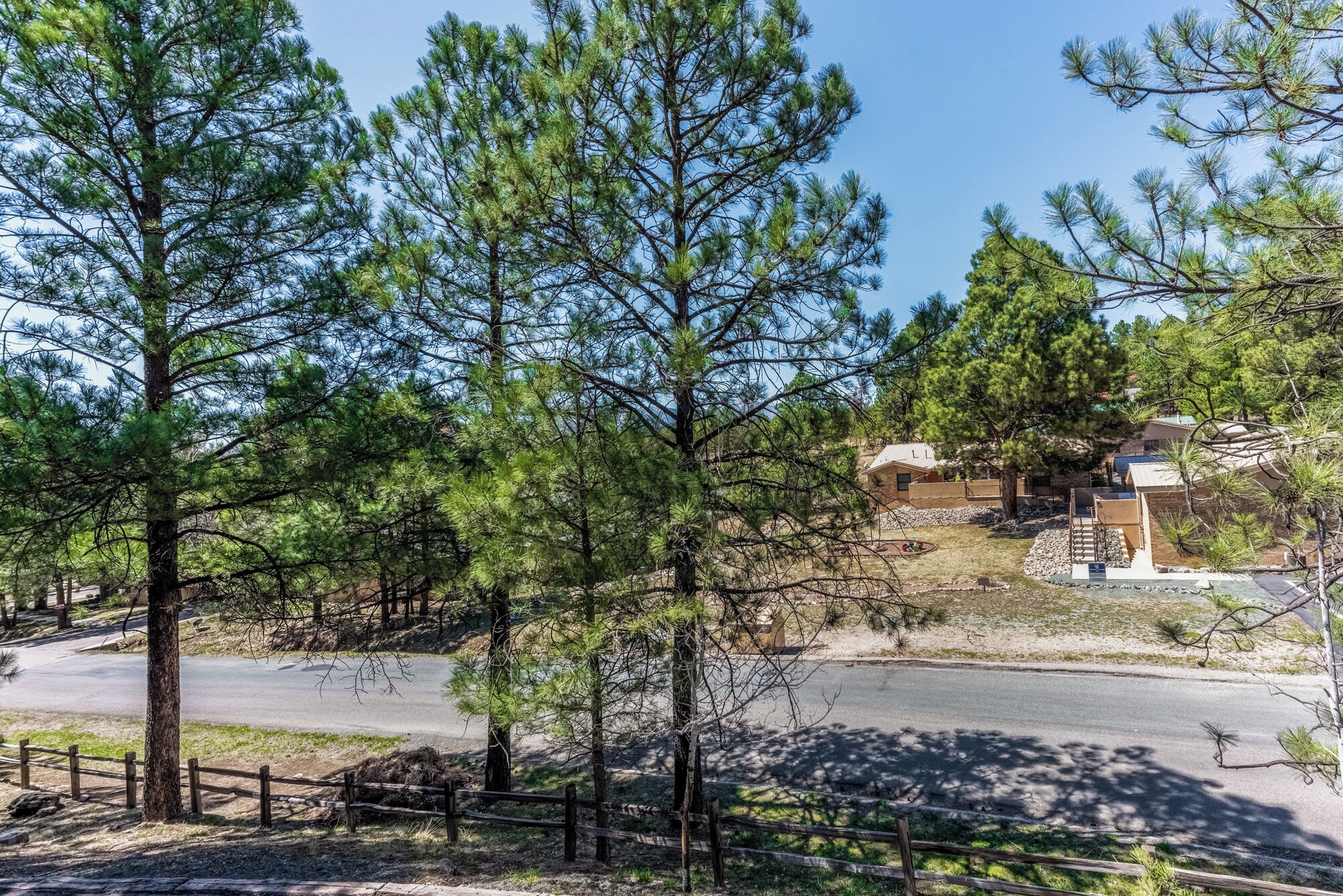 A natural setting with tall pine trees, a paved road, and a building with a sign.