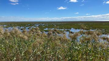 Condo (2 Bedrooms) | Property amenity