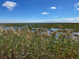 Servicio de la propiedad