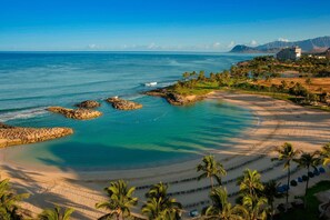 Enjoy breathtaking ocean views and a serene beachfront setting with palm trees and a gentle slope into the water.