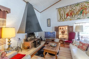 TV, fireplace, books