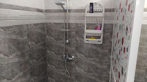 Shower, hair dryer, towels