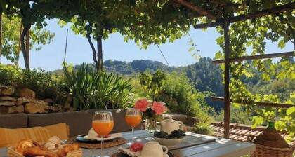 House with pool above Cinque Terre
