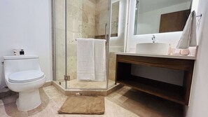 Chuveiro, secador de cabelo, shampoo 