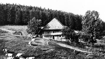 Ein traditionelles Haus mit einem steilen Dach, umgeben von einem bewaldeten Gebiet und einer kleinen Bauernhof mit Kühen.