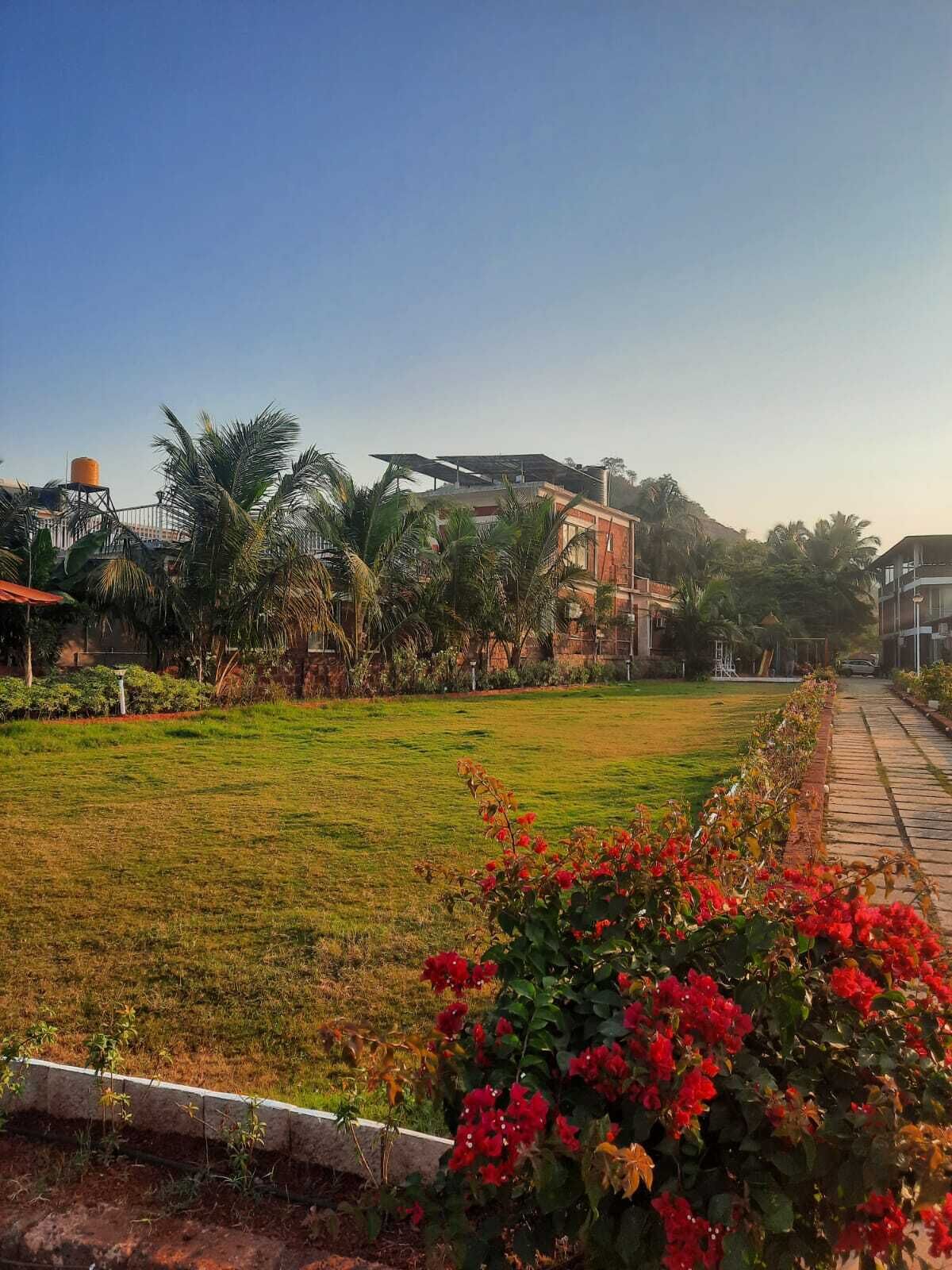 A grassy area with a pathway, surrounded by buildings and palm trees.
