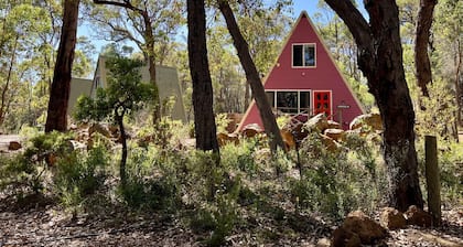 Grevillea at Porongurup Chalets