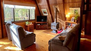Een gezellig chalet interieur met houten inrichting, een televisie, een open haard en een boekenkast.