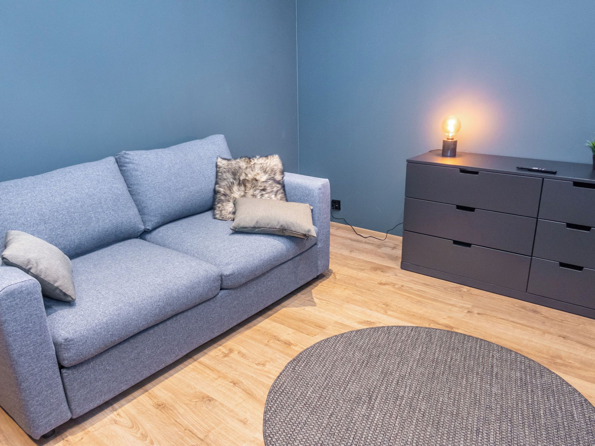 A room with a grey sofa, a small round rug, and a grey cabinet with a light on top.