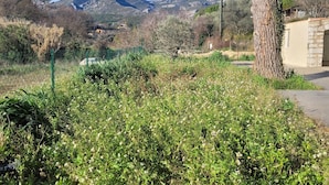 Un paysage rural avec une montagne en arrière-plan, un arbre et une clôture.