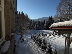 Garden - Maiers Hotel (Bayerisch Eisenstein)