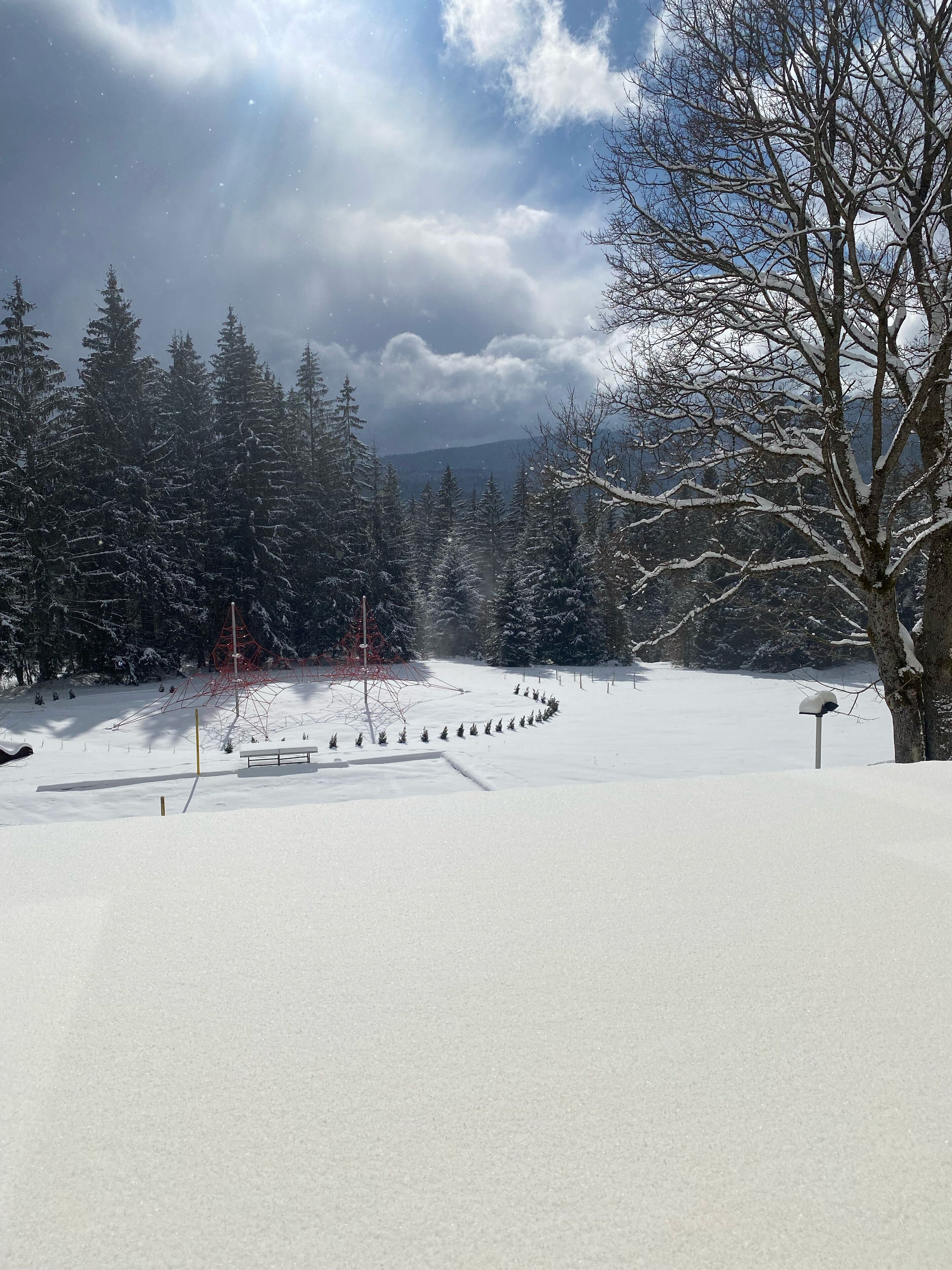 单板滑雪
