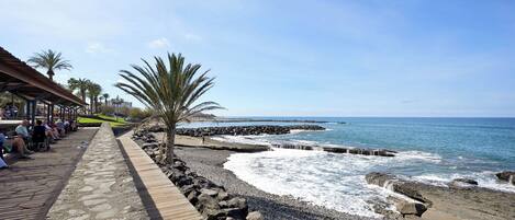 Accommodatie ligt op het strand