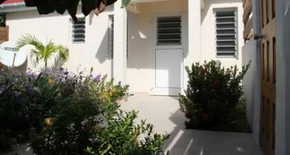 Lovely Villa Rose des cayes in Saint Barthélémy with parking and private pool