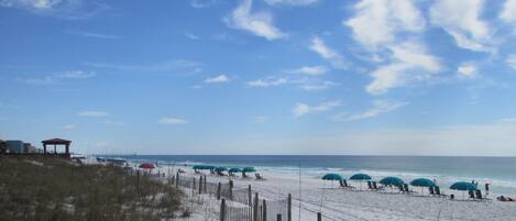 コンドミニアム 1 ベッドルーム | ビーチ