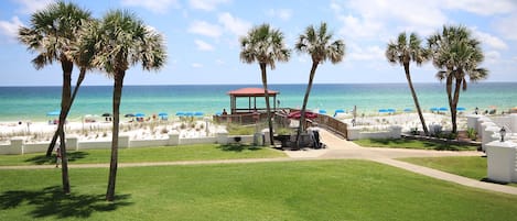 コンドミニアム 1 ベッドルーム | ビーチ