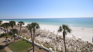 A beach view with palm trees, a sandy beach, and a clear blue sky.