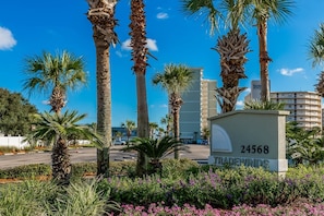 Welcome to Hotel 24568, surrounded by lush palm trees and vibrant flowering plants.