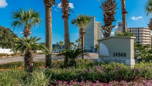 A sign for a hotel named TRADEWINDS with the number 24568, surrounded by palm trees and purple flowers.