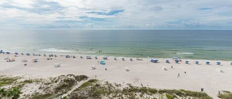 Condo, 3 Bedrooms | Beach | On the beach