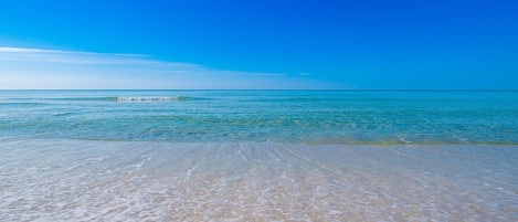 Condo, 1 Bedroom | Beach | On the beach
