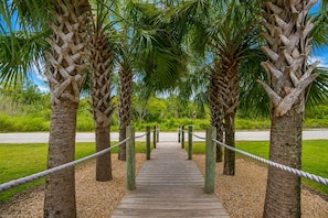 A wooden boardwalk leading through a grove of palm trees.
