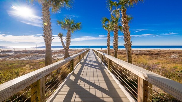 Un muelle de madera que lleva a una playa con palmeras y un cielo azul despejado.