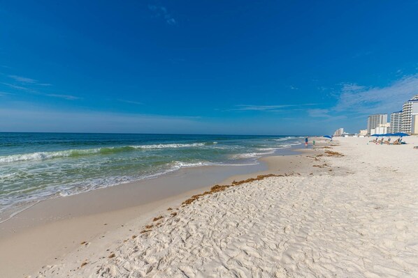 Condo, 1 habitación | Playa | Playa en los alrededores 