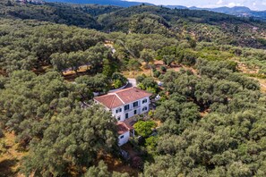 Exterior - Apartment 'The Green Cottage 2 ' with Shared Terrace and Wi-Fi (Corfu)