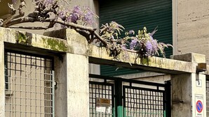 A gated entrance with a green door, a metal gate, and a no parking sign. - Quiet & Cosy Colosseum (Roma)