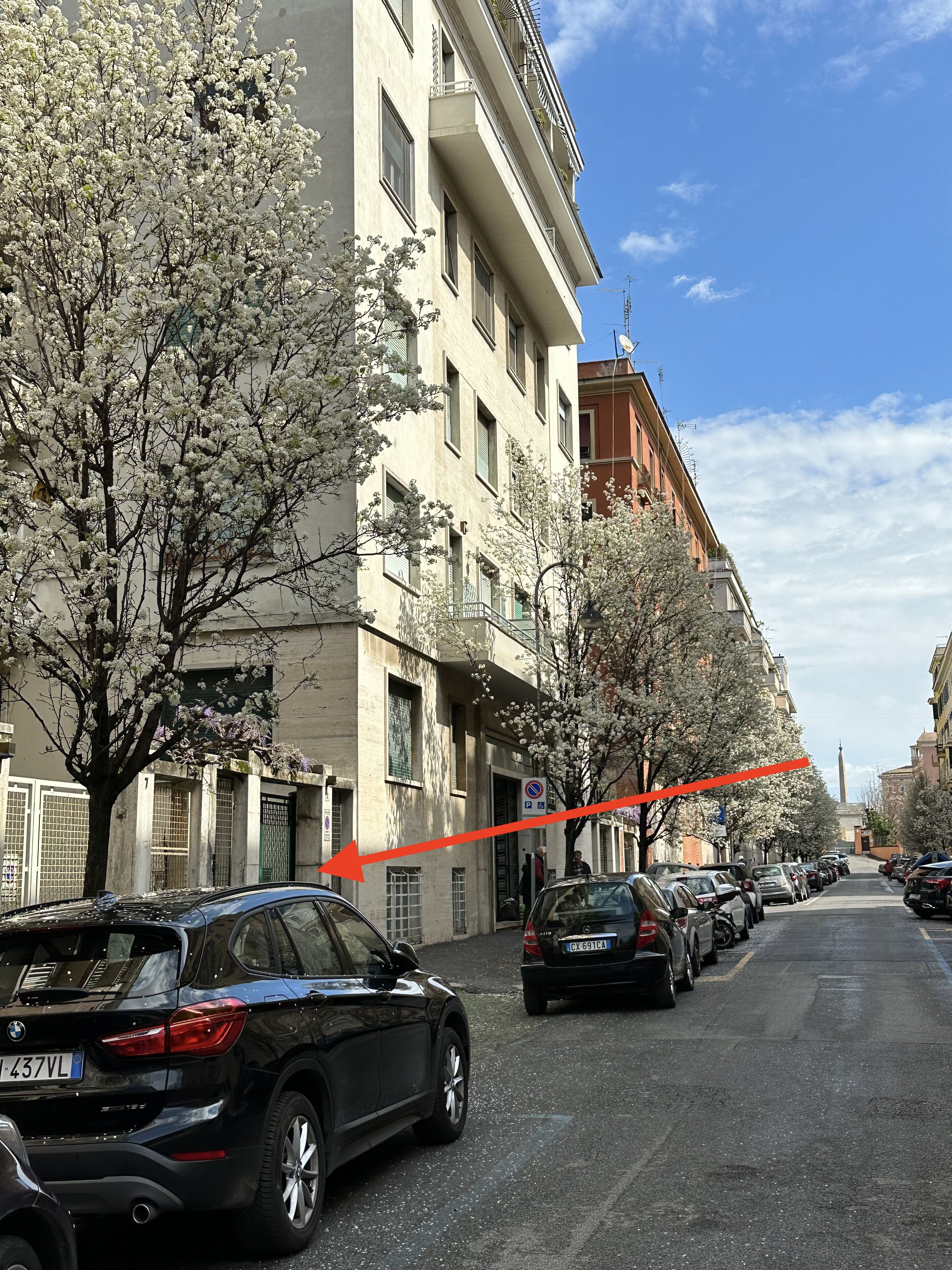 A street lined with parked cars and blooming trees.