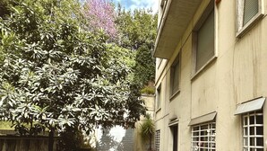 A narrow alleyway with a parked motorcycle, a potted plant, and a building with barred windows and a closed shutter. - Quiet & Cosy Colosseum (Roma)